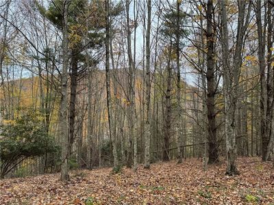 TBD Rominger Road, Banner Elk, NC, 28604