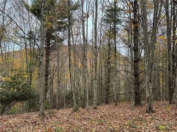 TBD Rominger Road, Banner Elk, NC 28604