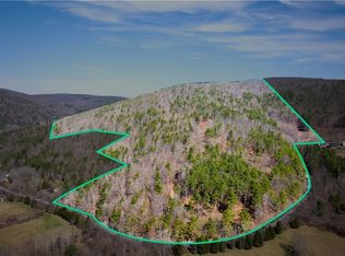285 Patria Rd, Warnerville, NY 12187