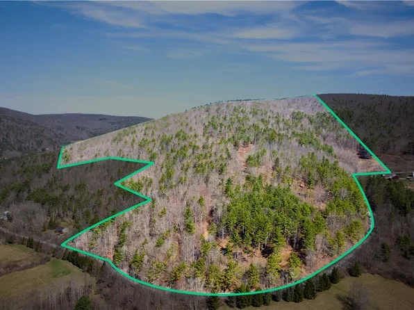 285 Patria Rd Lot 8, Warnerville, NY 12187