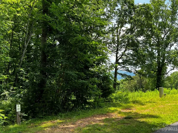 25 Trail Top Dr #40, Asheville, NC 28805