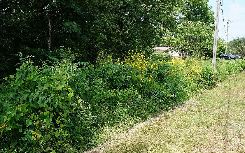 1st image of Mineral Bluff Hwy