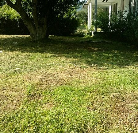 2nd image of 211 Daughtry Ave S
