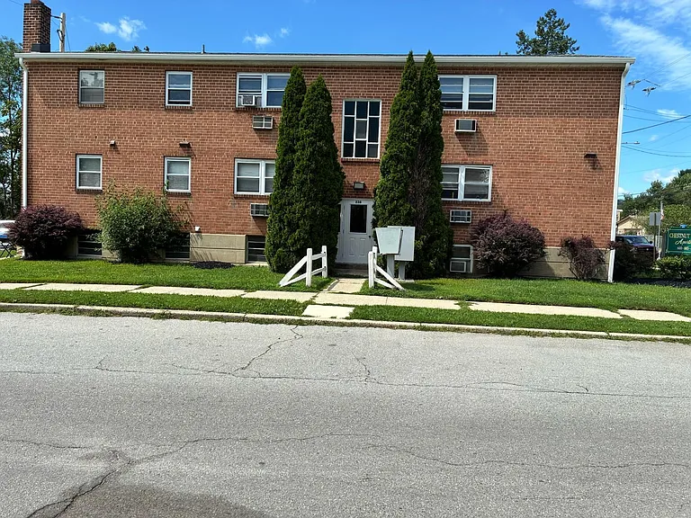 230 Chestnut St #B1 — Photo 6
