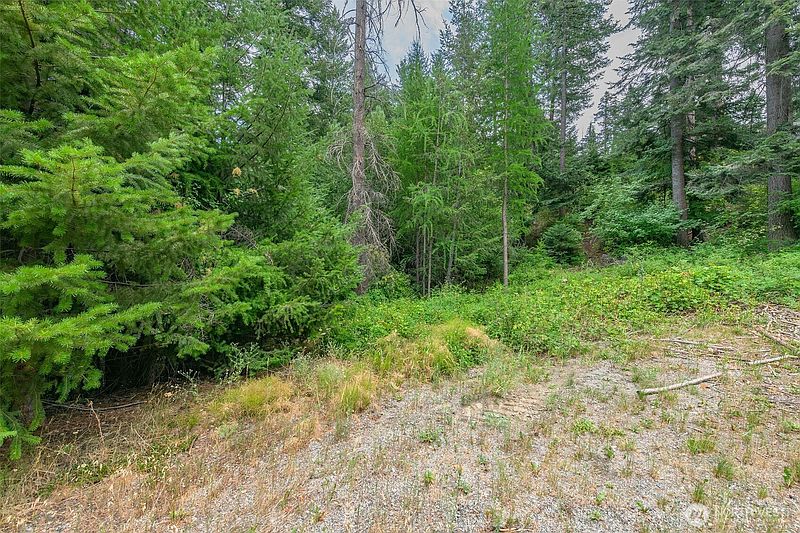 5th image of 6409 Forest Ridge Drive