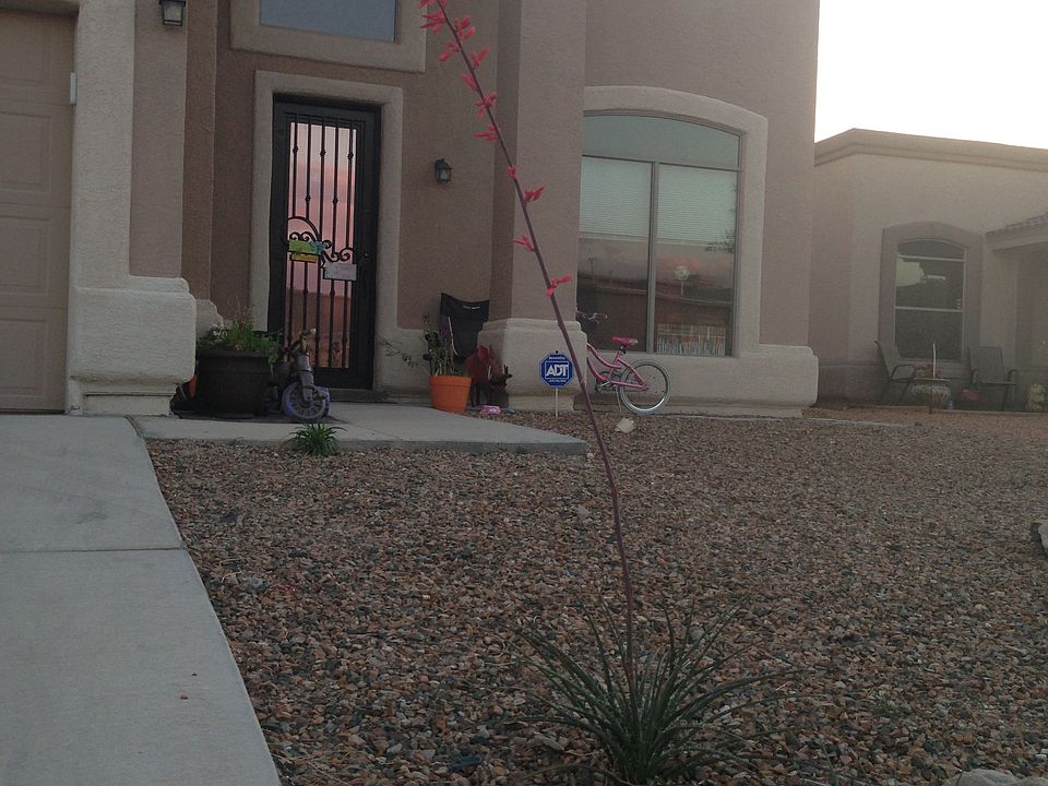 1st image of 3159 Diego Aidan Dr