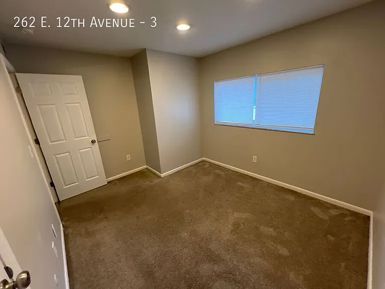 262 E 12th Ave #3 — Photo 18