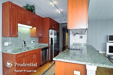 4th image of 1335 S Prairie Ave Unit 1610