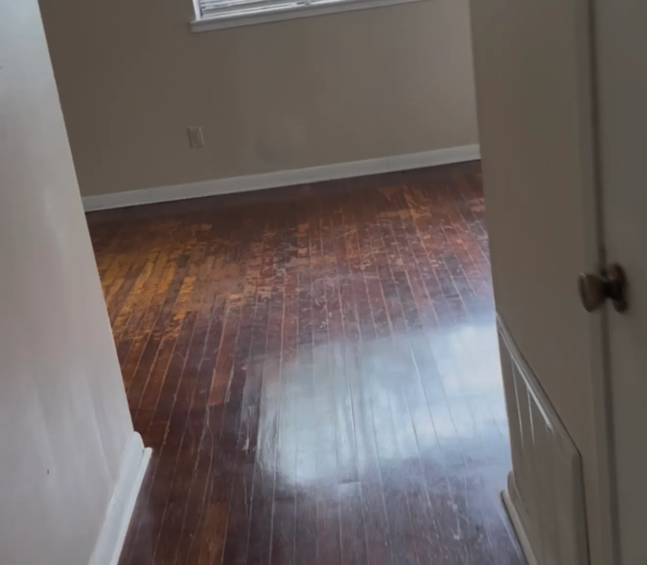 3 bed, 1140 sqft, $750 — Photo 2