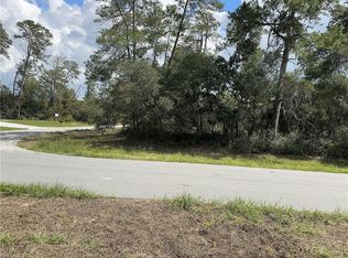 XXX SW 167th LOOP, OCALA, FL 34473