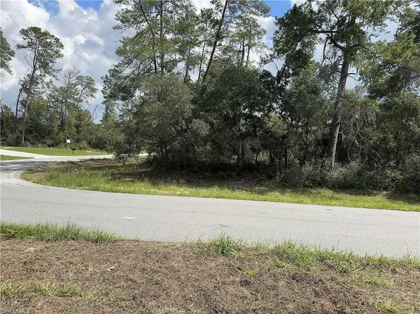 XXX SW 167th LOOP, OCALA, FL 34473