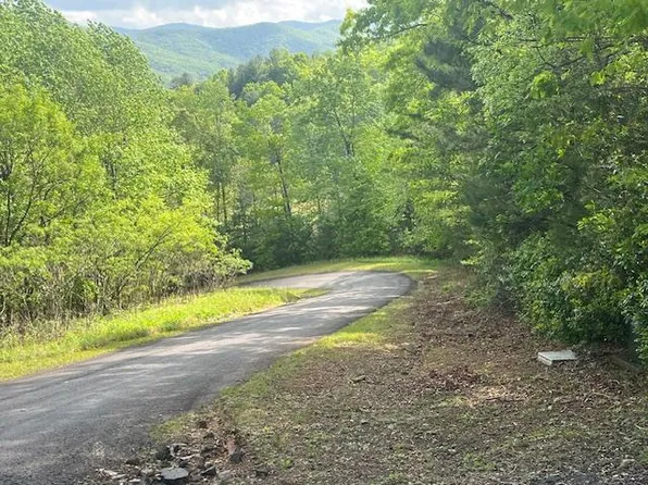 15/15A Highlandshigh Tower, Hiawassee, GA 30546