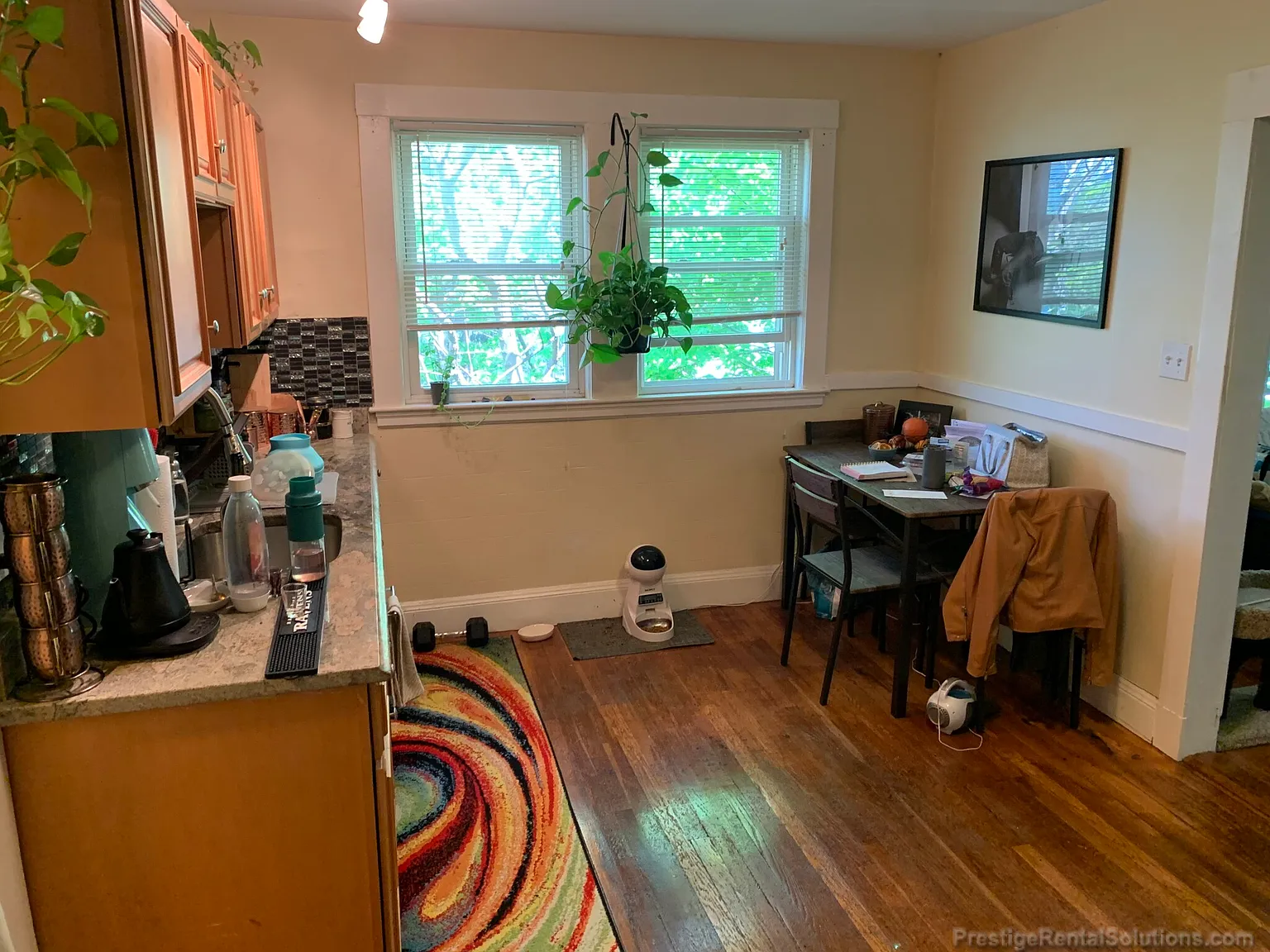1 bed, $2,700 — Photo 3