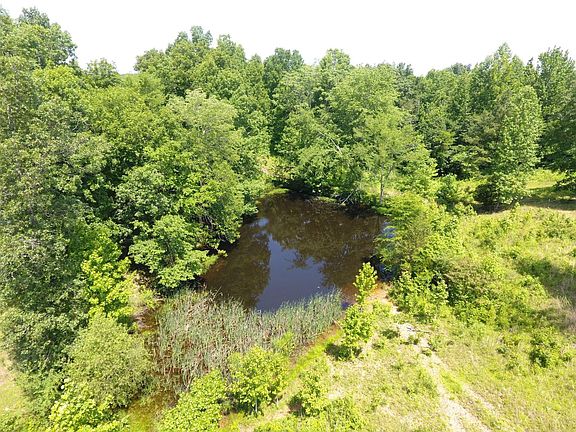 Beautiful pond in the center of the property.