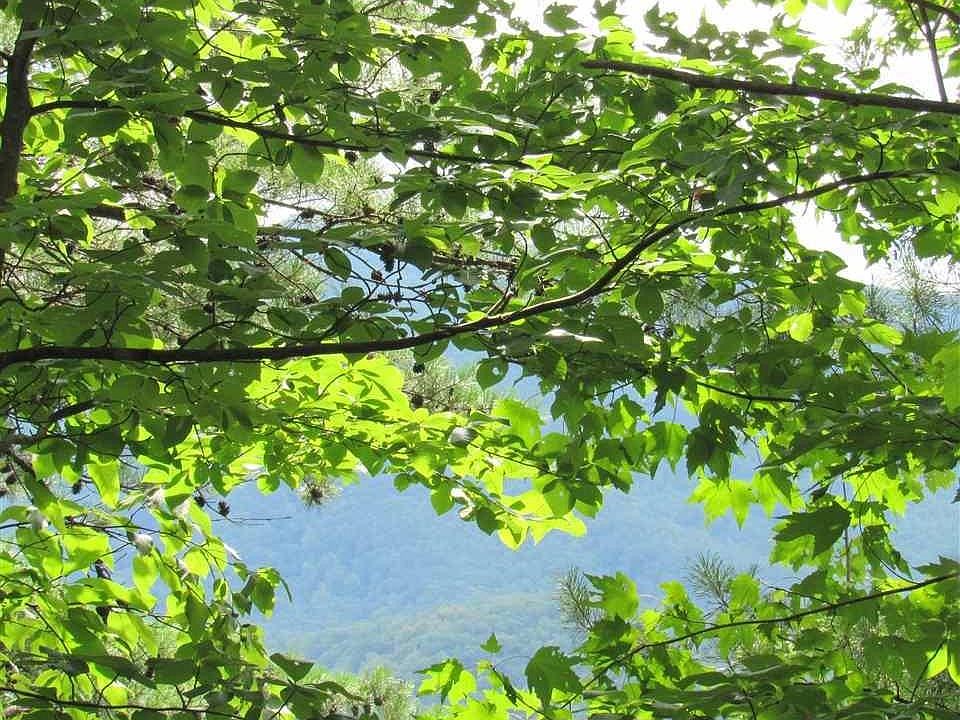 1st image of 6 Round Top Way #6