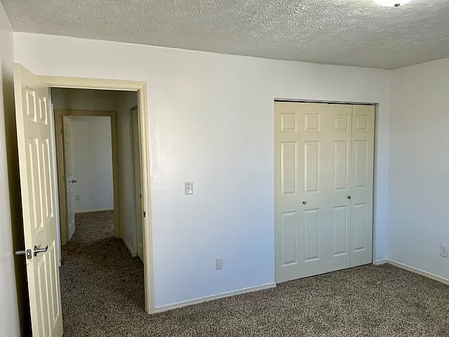 3 Stortz Dr — Photo 14