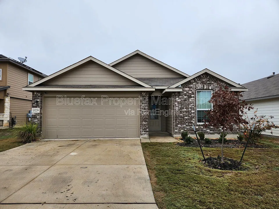 13229 Needle Grass