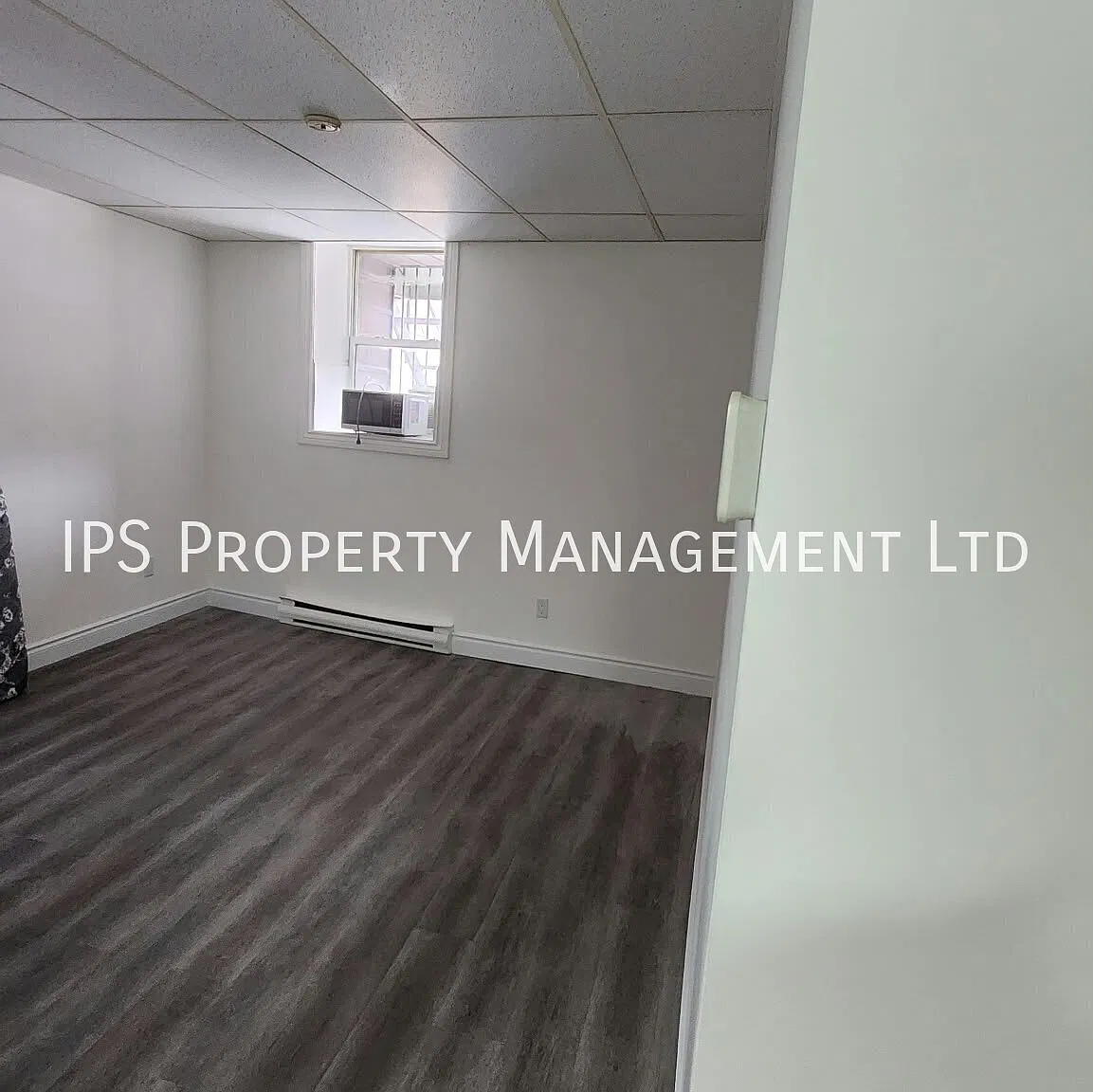 317 Front St- 3 1 Bed 1 Bath — Photo 2
