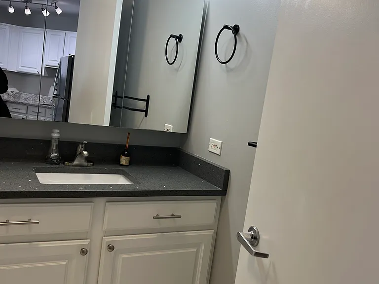 545 N Dearborn St #2404 — Photo 5