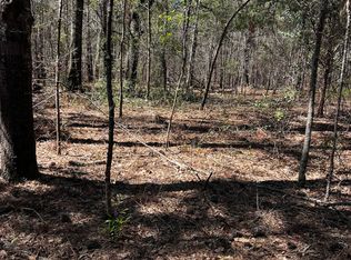 2000 Buckeye Rd, Tennille, GA 31089