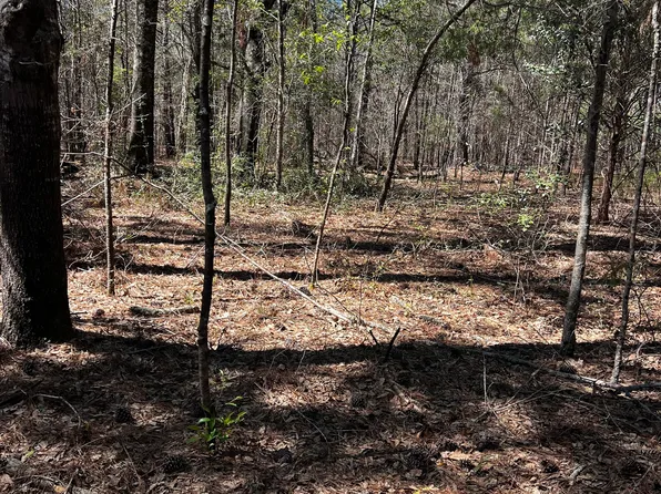 2000 Buckeye Rd, Tennille, GA 31089