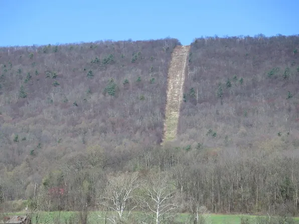 0 Mountain Rd, James Creek, PA 16657