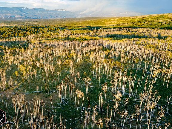Dji 0934 Aspengladesranch Lr Wm