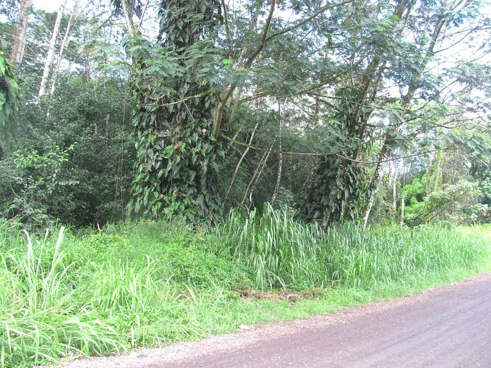 1st image of 12th Avenue Koali Lot 676