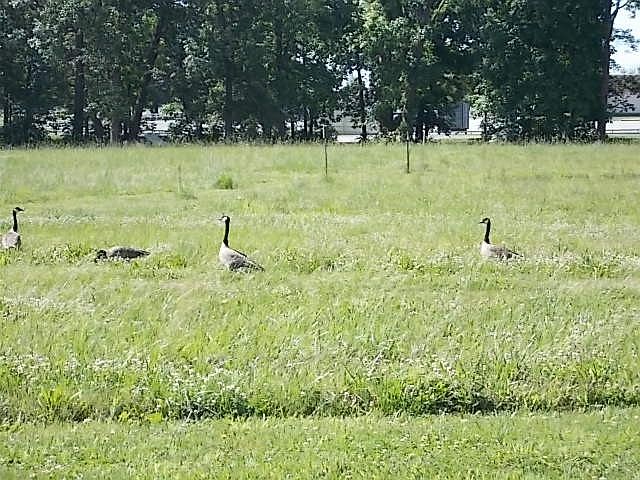 1st image of 454 Beyers Lake Est