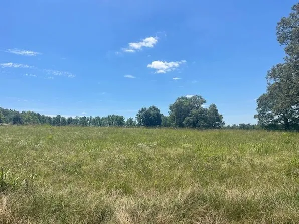 2380 Watkins Dr, Moscow, TN 38057