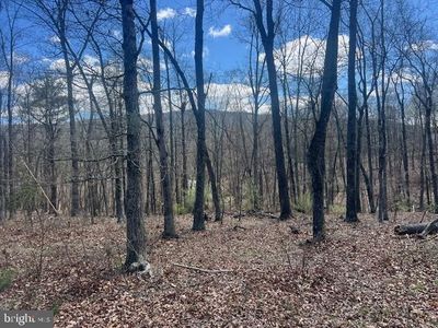 20 Acres Off, Bloomery, WV, 26817