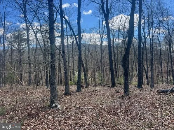 20 Acres Off, Bloomery, WV 26817