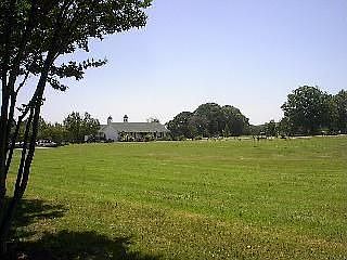 3rd image of 394 Iron Club Dr