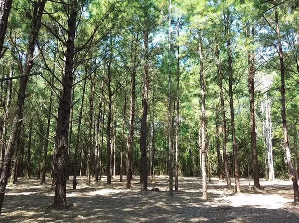 TRACT D Barber Rd #C, Franklinton, LA 70438