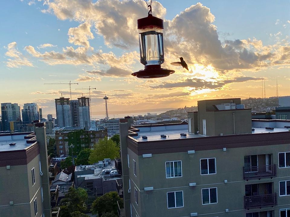 View from Balcony