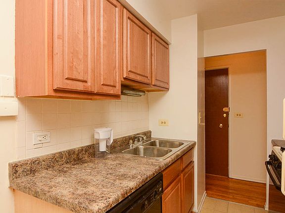 4th image of 535 W Briar Pl #753