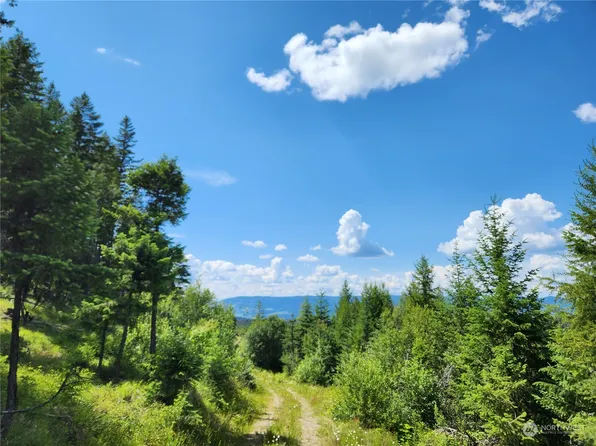 0 Bardwell Road, Curlew, WA 99188