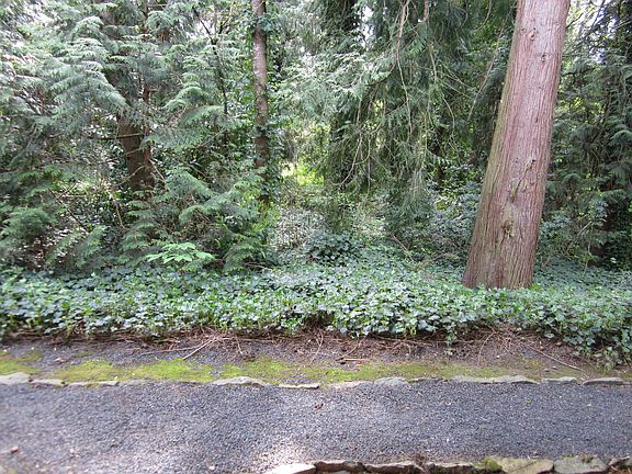 view from patio door