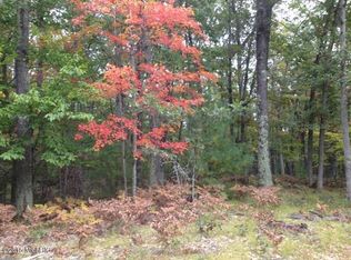 N Hamilton Rd, Irons, MI 49644