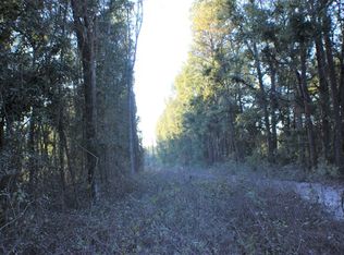 SW 20th St, Bell, FL 32619