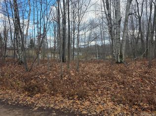 Birch Ln, Evart, MI 49631