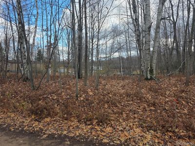 Birch Ln, Evart, MI, 49631