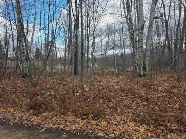 Birch Ln, Evart, MI 49631