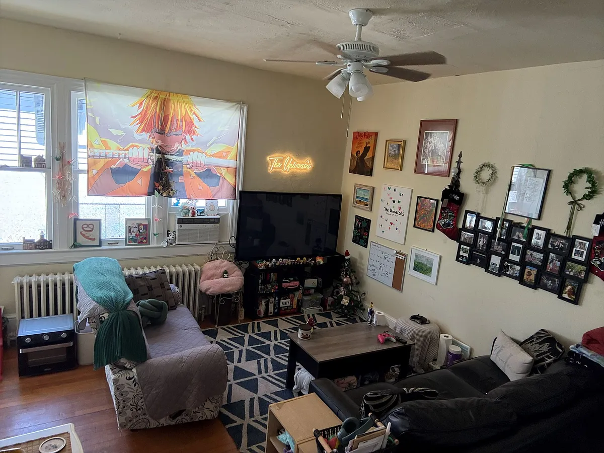 Spacious living room upon entry - 705 Prince Edward St #3