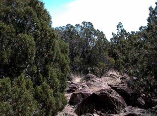 80 Acres Cross, Seligman, AZ 86337