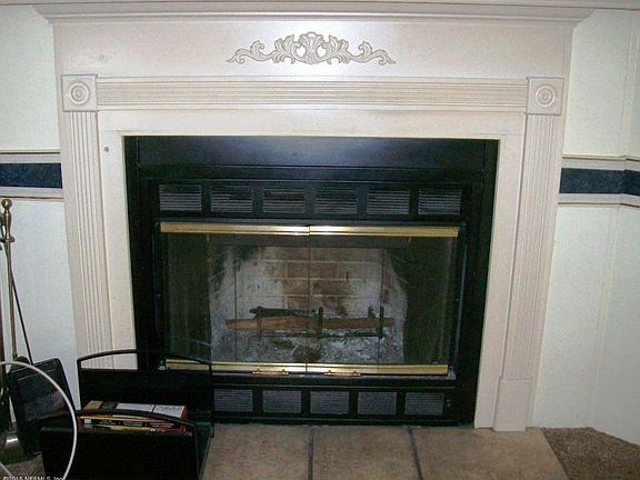 wood burning fireplace