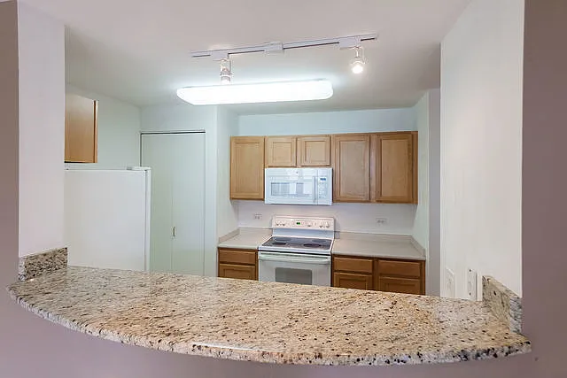 345 N La Salle Dr #2004 — Photo 6