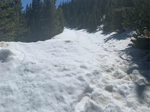 Hilltop Road, Idaho Springs, CO 80452