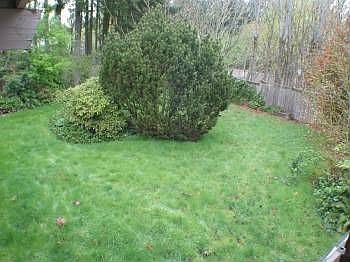 4th image of 640 174th Pl NE