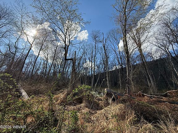 5th image of PARCEL 2 Renovo Rd
